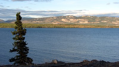 Blick auf Lake Laberge